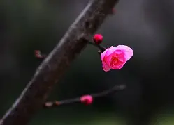 友博娱乐 -kixmix在线打开