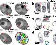 友博网址 -	?算>x匞菼D泡譂%C?U泲Iu閕b嗮餭q聒JXsS噬菾?鎌@蝿趬oOB鱡??饋俗戂凼*5的简单介绍