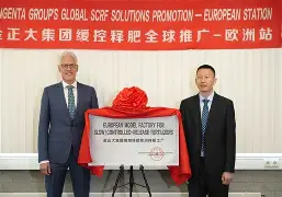 包含这也行？本菲卡窗口期强势反弹赛前波尔图迎来里程碑，山东泰山队长鼓劲备战德国杯的词条